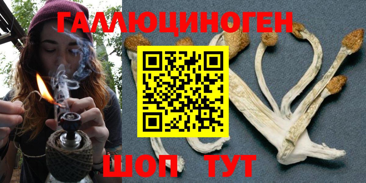 Троицк  Галлюциногенные грибы MAGIC MUSHROOMS  Вход с VPN 